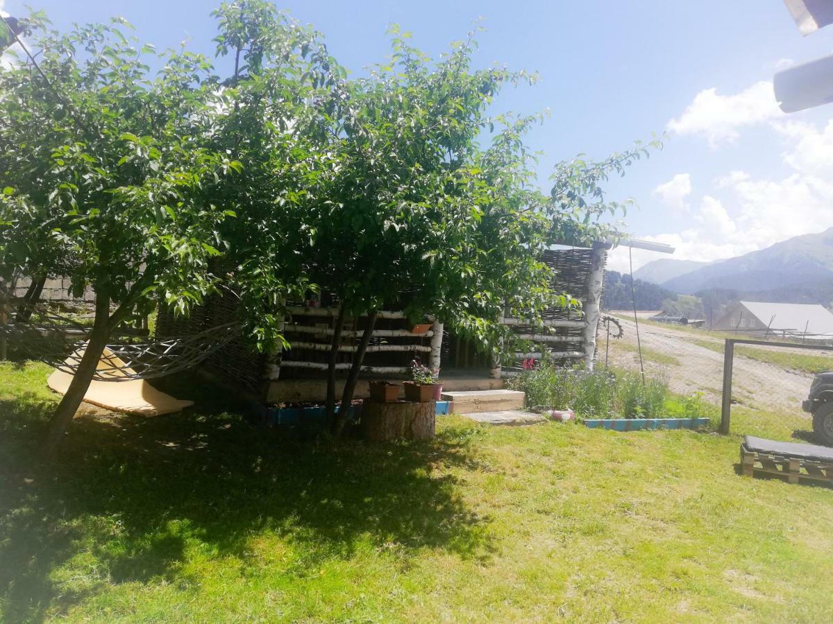 Guest House Old Omalo Εξωτερικό φωτογραφία