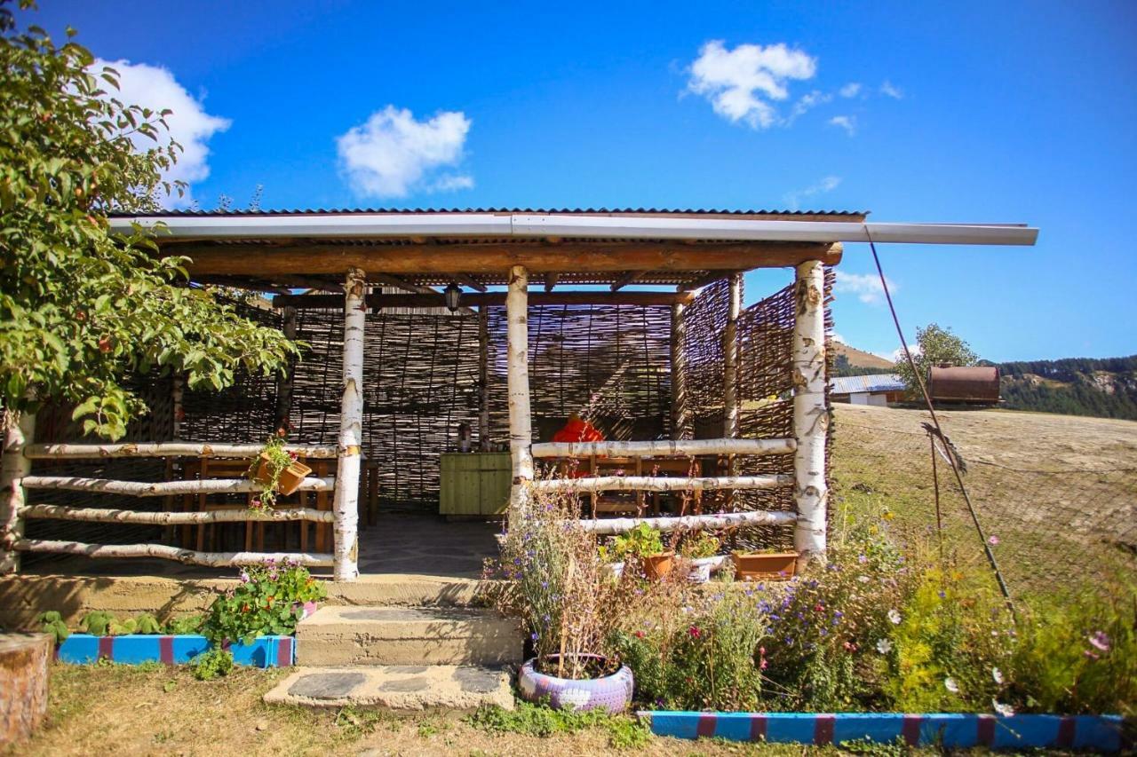 Guest House Old Omalo Εξωτερικό φωτογραφία